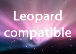 Leopard ready